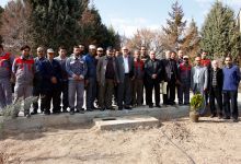 گزارش تصویری از آئیین درختکاری و تقدیر ازهمکاران فضای سبز دانشگاه